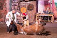 20220514-IMG 3989