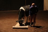 IMG 4757 klein